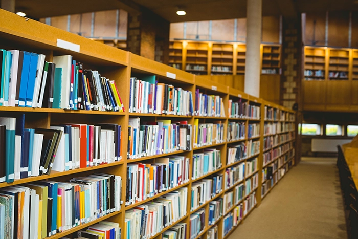 Education Employment and Social Policy